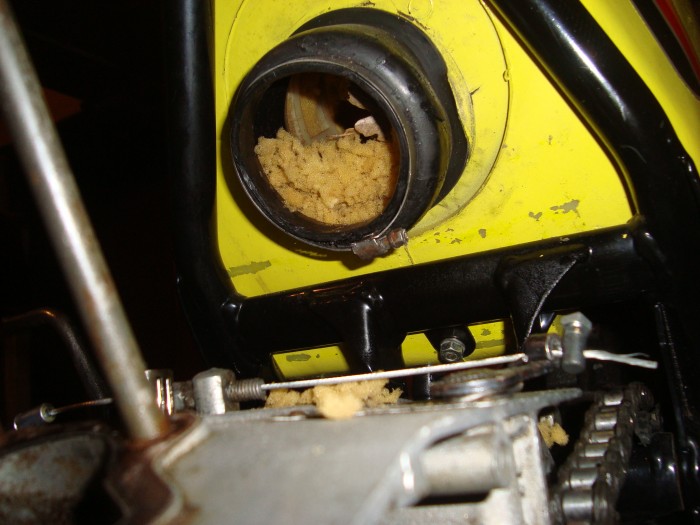 restauration de mon ancillotti 75 cc