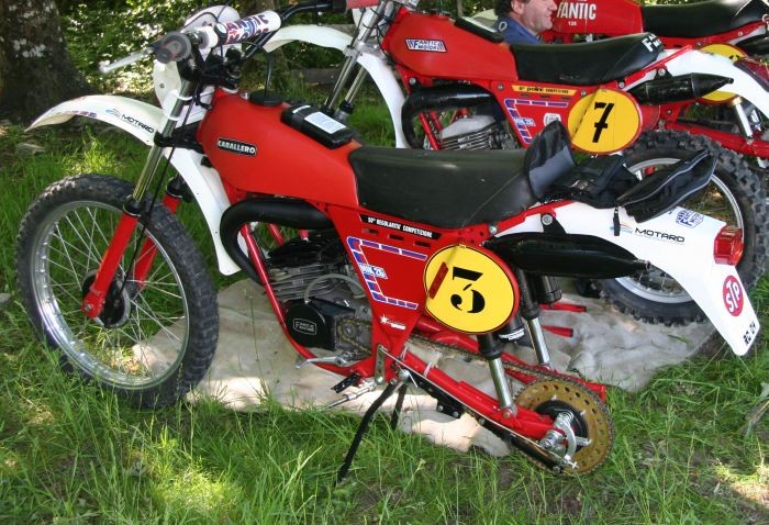 CATEGORIE 50