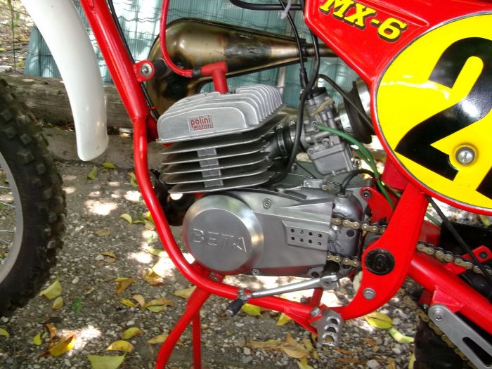 Fantic 50 RC