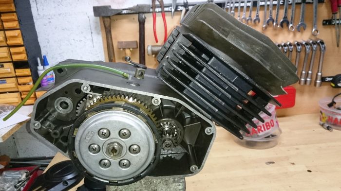 Intramotor ou IntraBoulettor: un breton à la maison