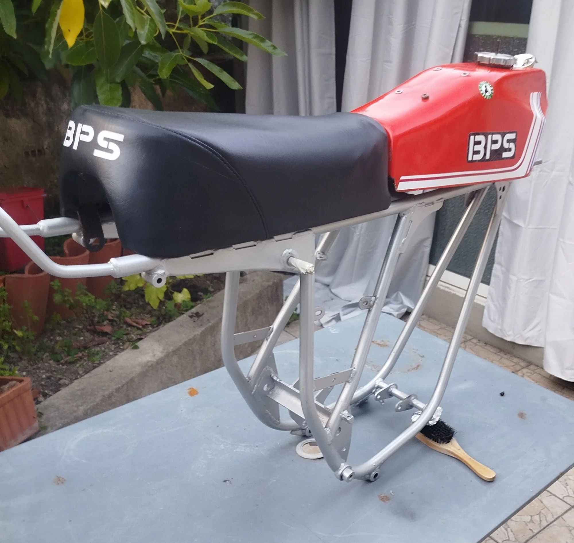 1000019622_533.webp