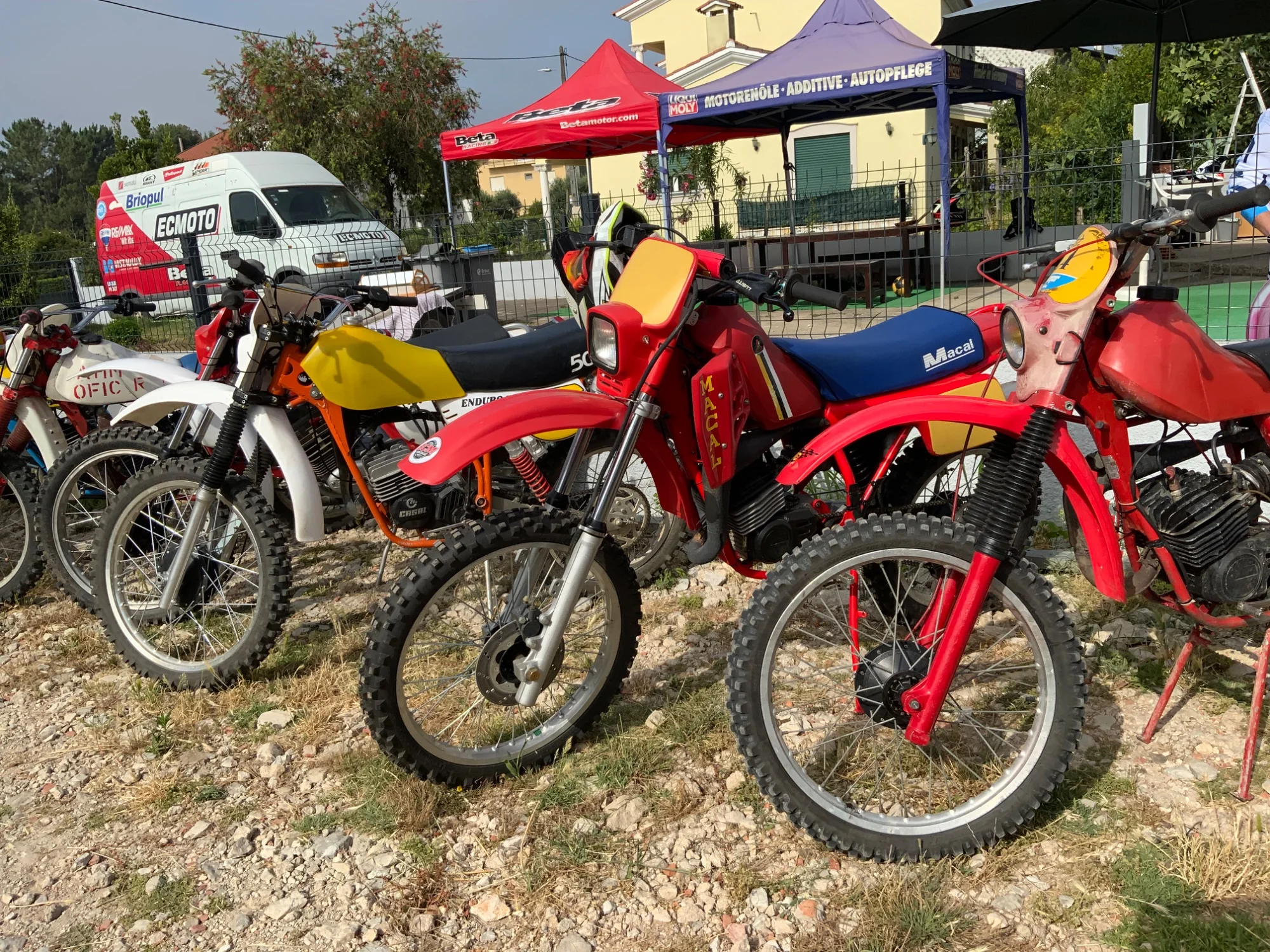 IMG_2784_629.webp