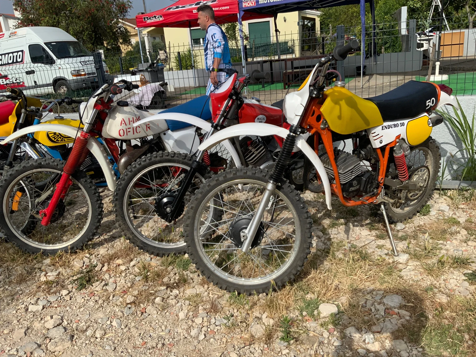 IMG_2785_486.webp