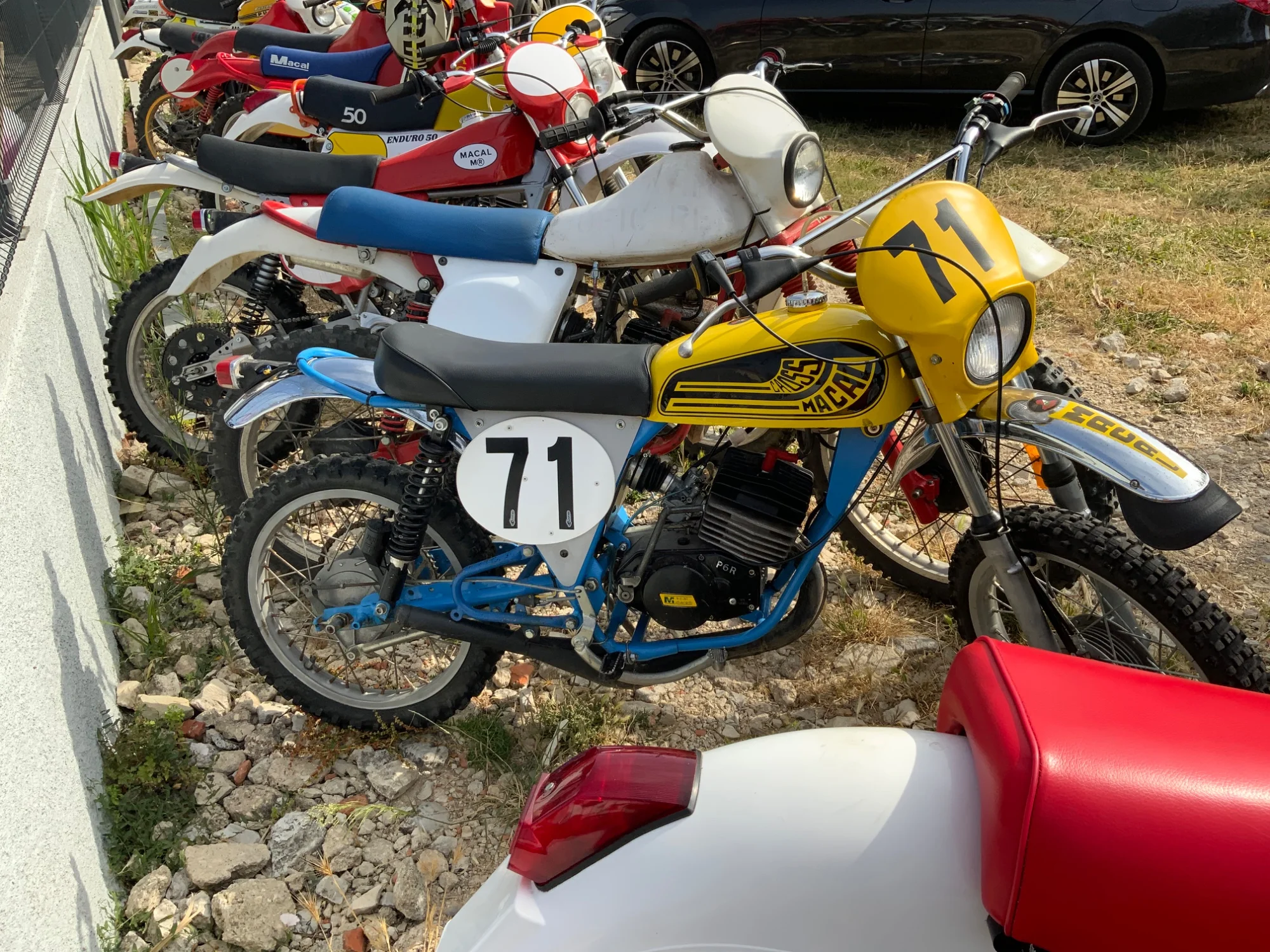 IMG_2790_750.webp